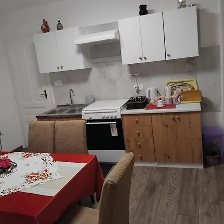 Nensi1 *